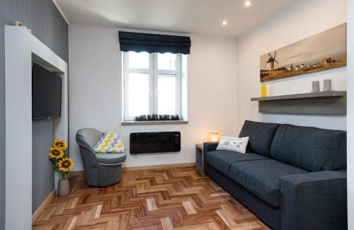 Kazimierz Apartment | Sunflower Apartment