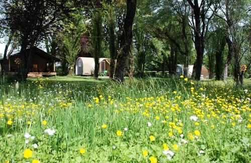 Le Grez House | Sunflowers Campsite * - Lodge Coco-Sweet 3 Rooms 2/4 People Without Sanitary
