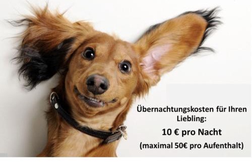 Pries Apartment | SUNNY SIDE