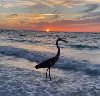 Holmes Beach Apartment | Sunset Connection - Gulf Place