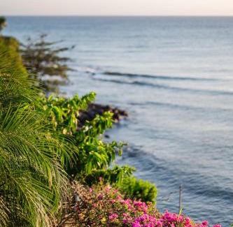 Challengers Hotel | Sunset Reef St. Kitts