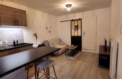 Le Busca Apartment | Superb t1bis near city center and metro