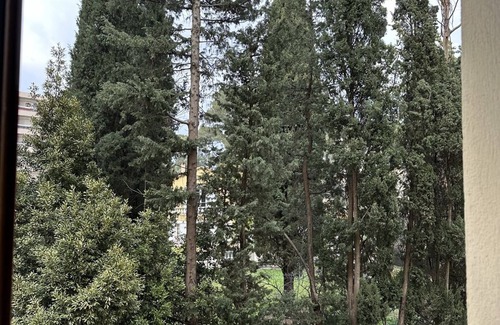 Le Cannet Apartment | Superbe Appartement Proche Cannes Type 2 Pièces Avec Parking Privé