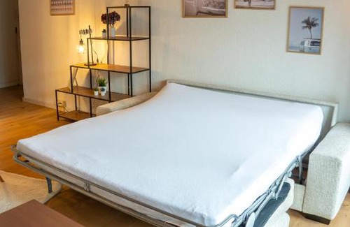 Darligen Apartment | Surfers Lodge with Beach, near Interlaken