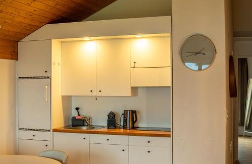 Darligen Apartment | Surfers Lodge with Beach, near Interlaken