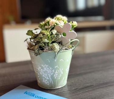 Einigen Apartment | Swiss Apartment Thunersee