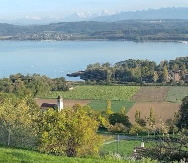 Bellerive Bed & Breakfast | Swiss Borzoi House