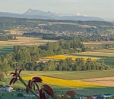 Bellerive Bed & Breakfast | Swiss Borzoi House