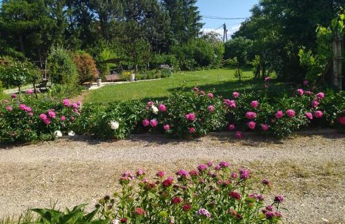 Cserszegtomaj Apartment | Szőlőskert Apartman