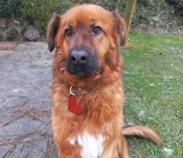 Baj House | Szőlőskert Vendégház