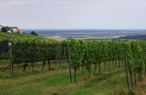 Deutsch Schuetzen-Eisenberg Apartment | Szapary 1620