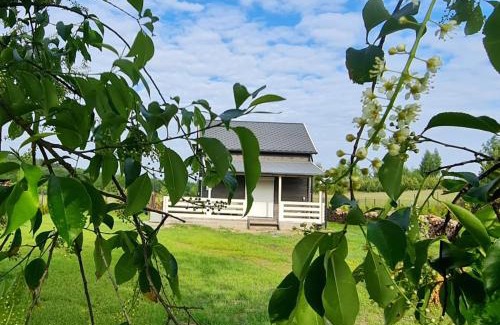 gmina Piotrkow Kujawski House | Szary Domek 3 jacuzzi kominek jezioro klimatyzacja