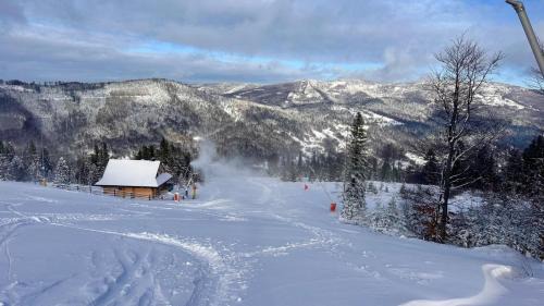 Meszna Apartment | Szczyrkowskie Ski & Fun Widokowy 5