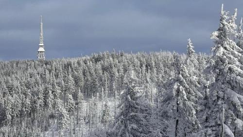 Meszna Apartment | Szczyrkowskie Ski & Fun Widokowy 5