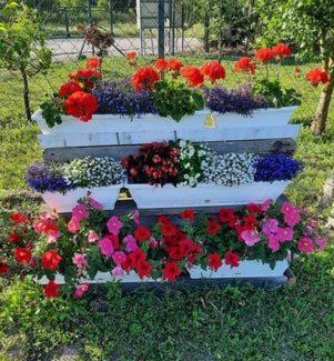 Gyomaendrod House | Szemérmetes Erzsók Nyaralóház