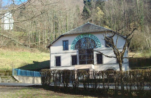 Vic-sur-Cere Apartment | T2 APARTMENT IN THE HEART OF GREEN COUNTRY