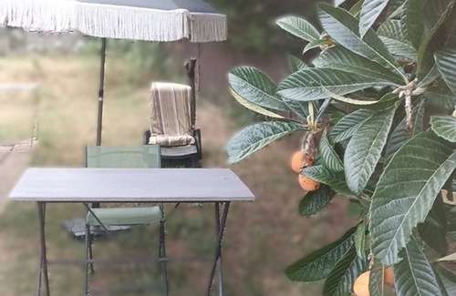 Tourves Bed & Breakfast | T2 "NATURE" - 30m2 - Swimming pool - Provence Verte - Near Sainte-Baume -3 pers.