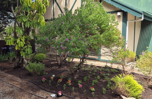 Port Willunga House | Take a beach shack break in simple setting, a step to Port Wilunga Esplanade.