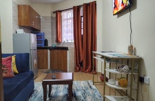 Kisii Apartment | Tamara studio bedsitter, Nyanchwa Kisii