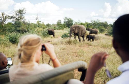 Kruger National Park Cabin | Tanda Tula Safari Camp