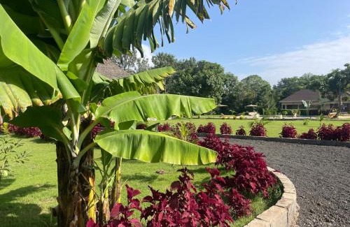 Arusha Hotel | Tanzania Safari Lodge