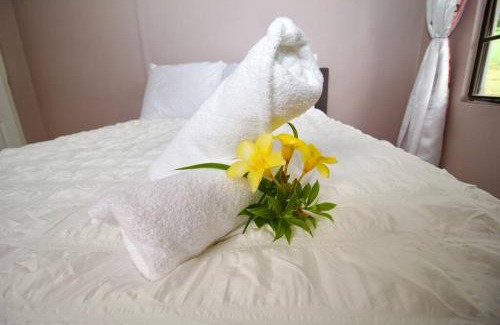 Buccament House | Taylor's Retreat - 5min to Sandals Resort & Beach