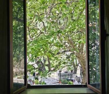 Qeparoi i Siperm Hotel | Te Rrapi Rooms