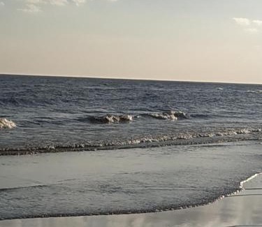 Playa Fomento Apartment | Techos Amarillos aparthotel