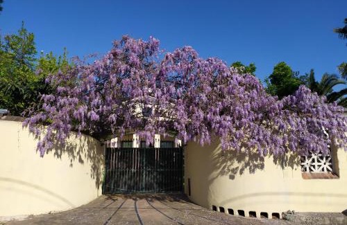 Massa Apartment | Tempio