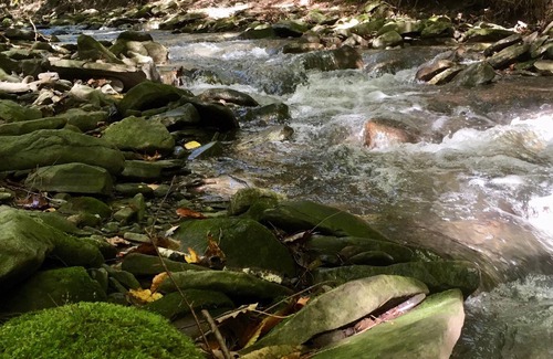 Warnerville RV Rental | Tentrr Signature Site - Calico Ridge, Sap Bush Hollow