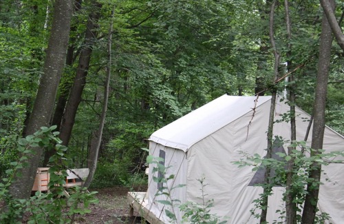 Brewster RV Rental | Tentrr Signature Site - Holmestead Woods