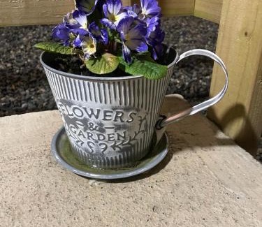 Newry Apartment | Terry Joe Cottages