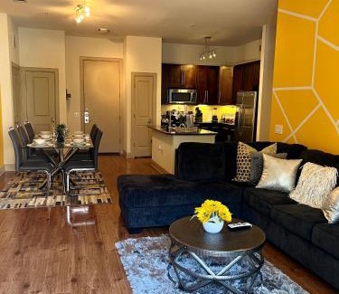 Astrodome Apartment | Texas Medical Center & NRG Stadium