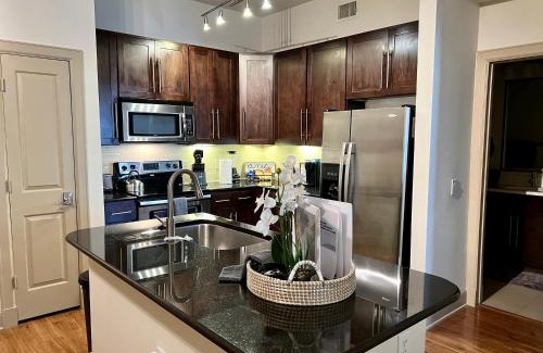 Astrodome Apartment | Texas Medical Center & NRG Stadium