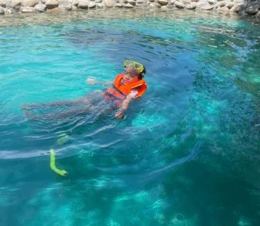 Phu Loc Apartment | Thỏ House