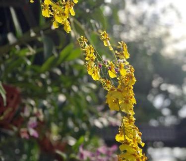 Cu Chi House | Thanh Thuy