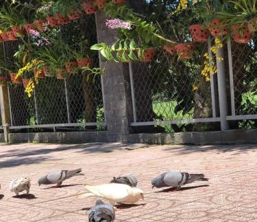 Cu Chi House | Thanh Thuy