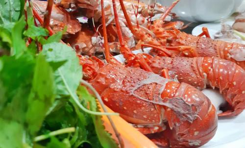 Cua Lo Hotel | Thanh Tu Hotel