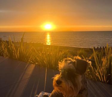 Seasalter House | The Admiral, Whitstable