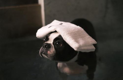 Miyakami Other | THE BASE GLAMPING YUGAWARA Kanagawa Glamping - Vacation STAY 74520v