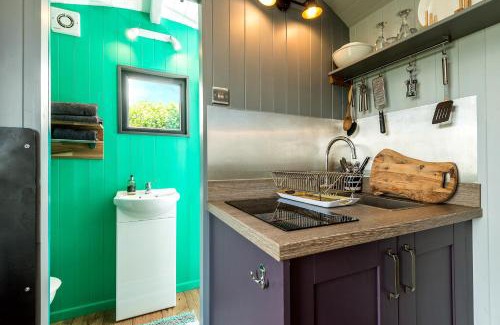 Kidwelly Other | The Big Cwtch Shepherd's Hut