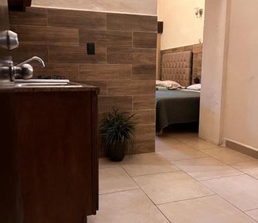 Centro Historico Hotel | The Black Tree Hotel Colonial