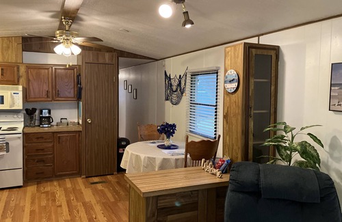 Harlingen House | The Blue Palm, with Pool!