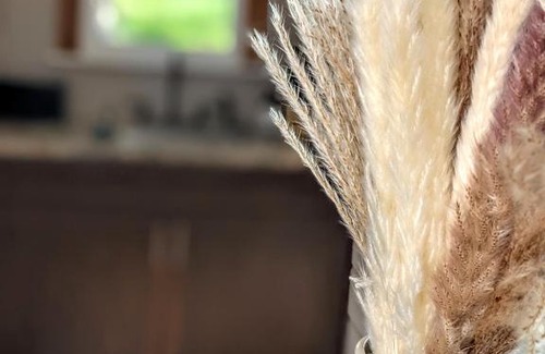 Pauma Valley Cabin | The Bluebird's Nest - Cabin with Fireplace