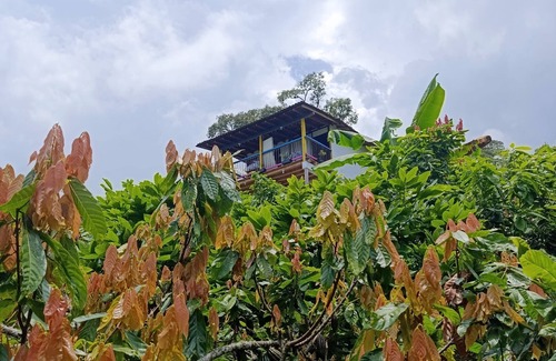 Tamesis Apartment | The cabin - Finca los Martínez, near the town of Támesis Antioquia,