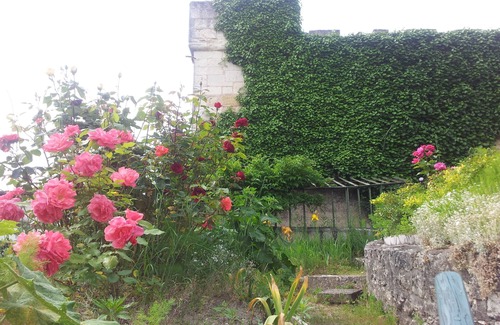 Montrichard Val de Cher House | The Chancellery, large capacity cottage, disabled access, guest house, apartment