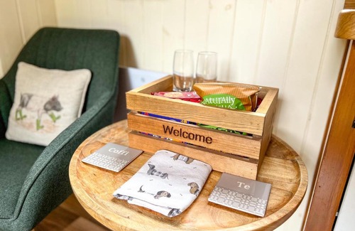 Llandysul Ski Chalet | The Daffodil Shepherd's Hut, Primrose