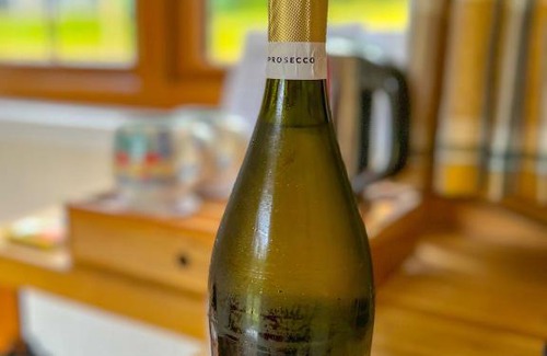 Llandysul Ski Chalet | The Daffodil Shepherd's Hut, Primrose