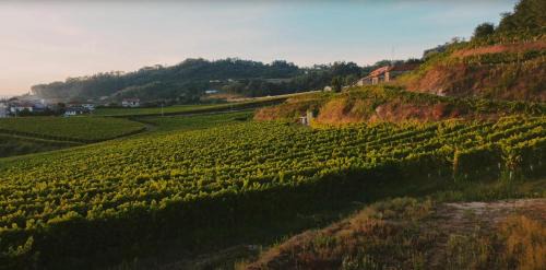 Felgueiras House | The FarmHouse I - Uma quinta deslumbrante