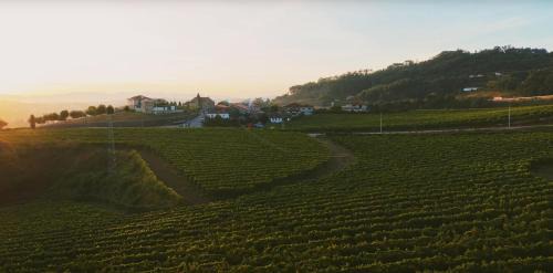 Felgueiras House | The FarmHouse I - Uma quinta deslumbrante